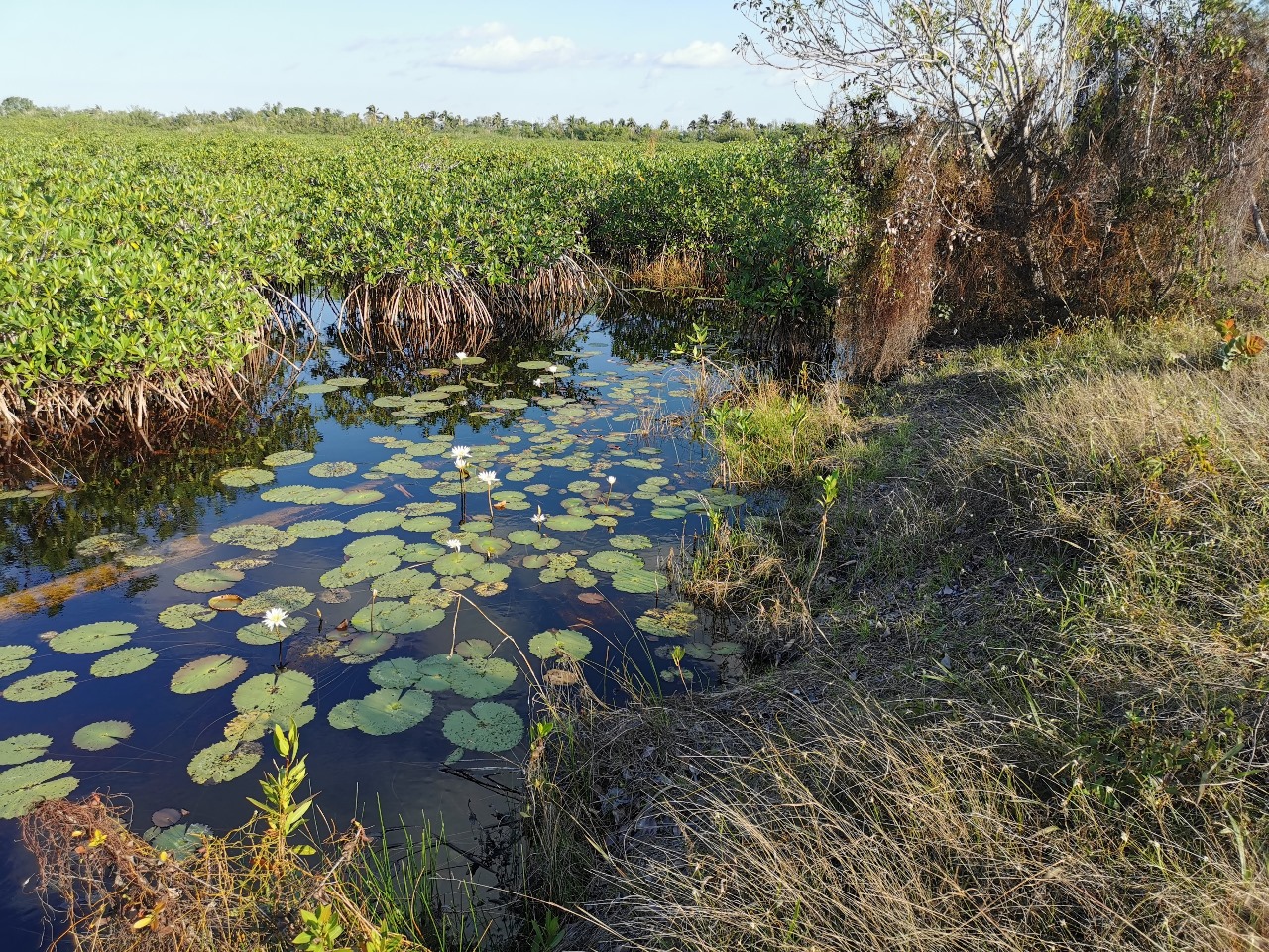 Análisis de agua
