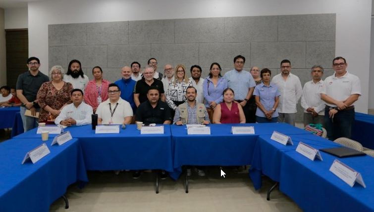 Presentación técnica